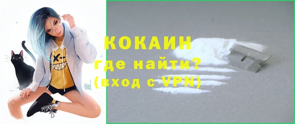 гидра Покачи