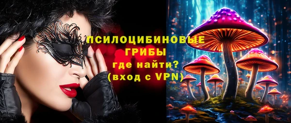 бошки Арсеньев