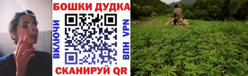 Каннабис план  купить  цена  Светлый 